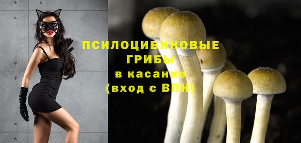 дмт Алексин