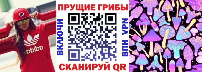 KRAKEN маркетплейс купить Рубцовск это состав Галлюциногенные грибы Psilocybine cubensis