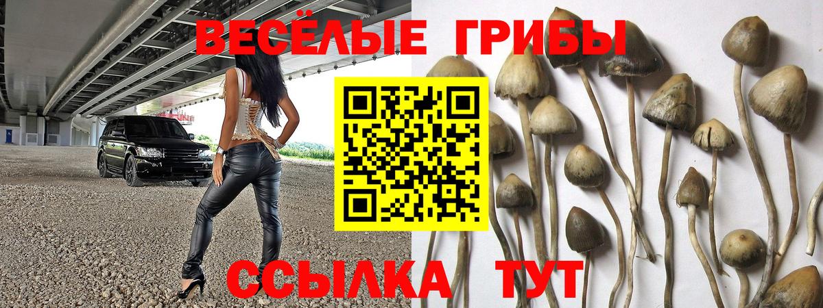 Рубцовск  Галлюциногенные грибы мицелий  Вход с VPN 