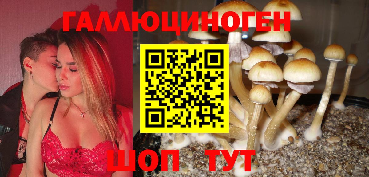 Галлюциногенные грибы Cubensis Рубцовск