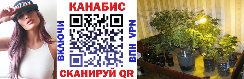 omg ссылки  Рубцовск  МАРИХУАНА Amnesia 